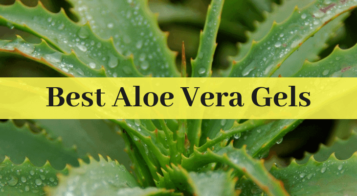 5 Best Aloe Vera Gel Brands In 2020 For Face Acne Hair