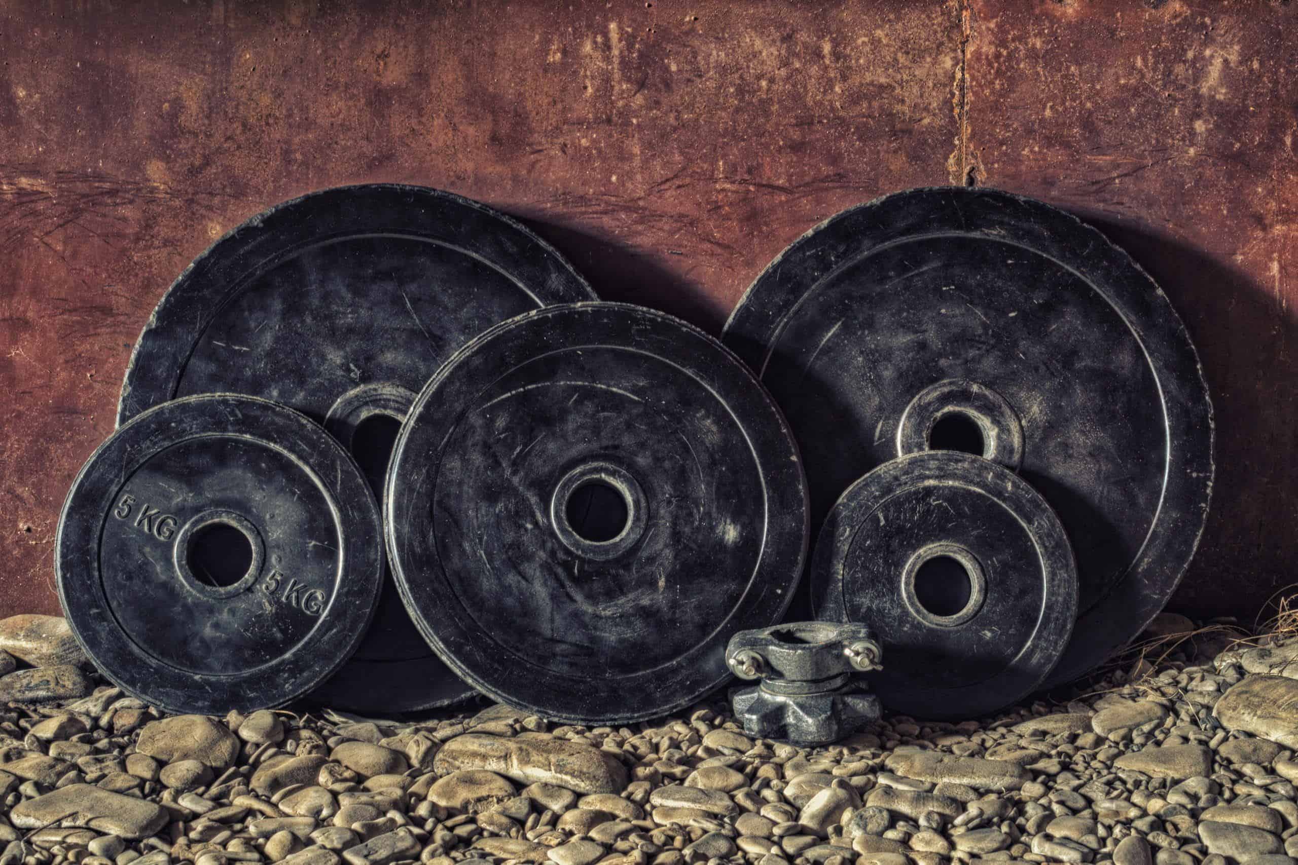 5 Best Bumper Plates Worth Your Money 2021 Review